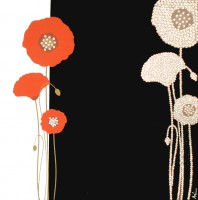 Poppy